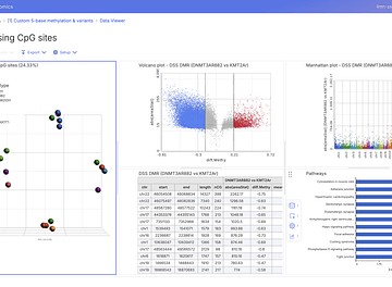 ICM 5 base DNA Methylation