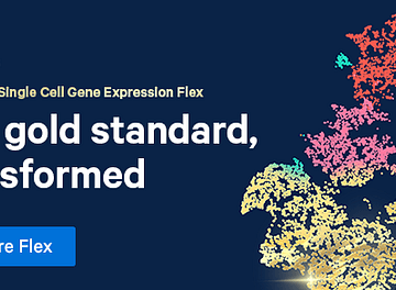Chromium single cell gene expression flex