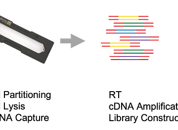 Figure 1 Singleron