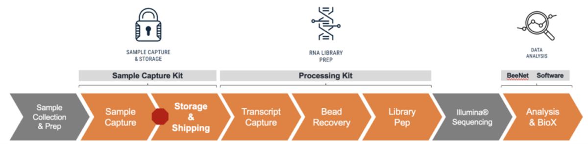 Figure 1: