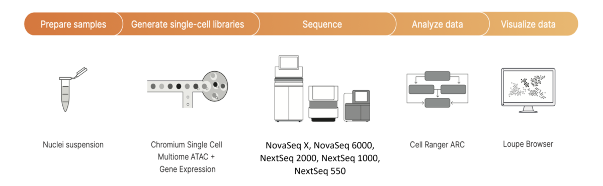 Multi-Services Hub on X:  / X