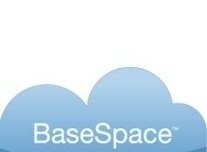 Base Sace logo