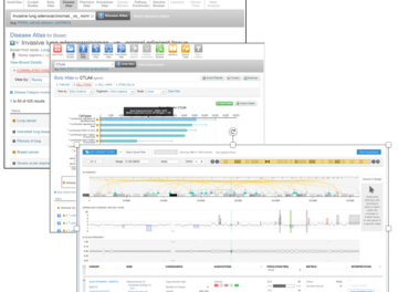 Ca ce blog post q1 2020