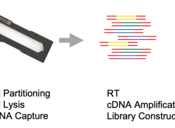 Figure 1 Singleron